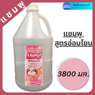 แชมพูสุนัข แชมพูหมา แชมพูแมว Messi Champoo แชมพูเมสซี่ แชมพูสูตรอ่อนใสลดอาการแพ้ แชมพูหอม แชมพูน้องหมา ขนาด 3800 ml.