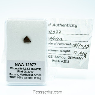 อุกกาบาต หิน NWA 12977 Chondrite LL3.5 Meteorite แบบสไลซ์ พร้อมใบรับรอง จาก Germany #2 หนัก 0.14 กรัม