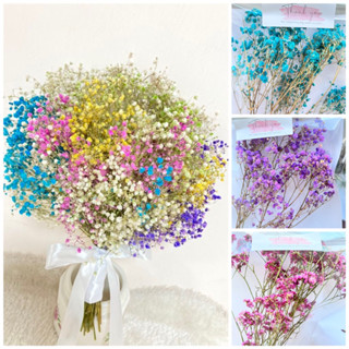 Gypsophila 💐 ดอกไม้แห้ง ดอกยิปโซแห้ง ใส่เเจกันเเต่งห้อง ยิปโซฟิลล่าแห้ง