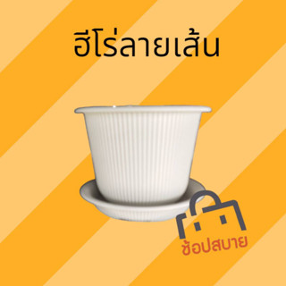 กระถางลายเส้น ฮีโร่ Hero 10 นิ้ว (สีขาว) 1 ชุด