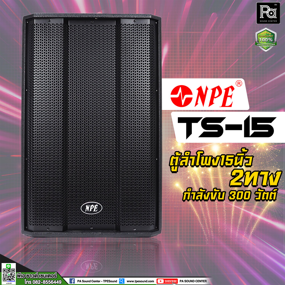 NPE TS-15 ตู้ลำโพง 15 นิ้ว 2 ทาง 300 วัตต์ ตู้ลำโพง15 ตู้ลำโพงไม้แท้ TS 15 ตู้ลำโพง Passive TS15