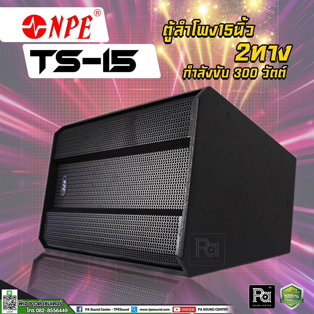 NPE TS-15 ตู้ลำโพง 15 นิ้ว 2 ทาง 300 วัตต์ ตู้ลำโพง15 ตู้ลำโพงไม้แท้ TS 15 ตู้ลำโพง Passive TS15