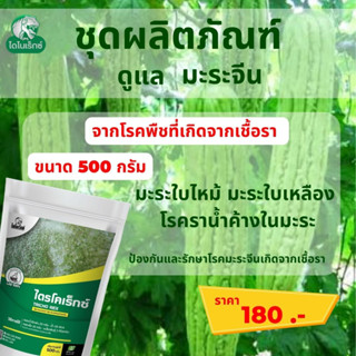 กำจัดโรคพืชที่เกิดจากเชื้อรา ในมะระจีน เร่งฟื้นฟูจากการเข้าทำลายของเชื้อรา ไตรโครเร็กซ์ ปุ๋ยน้ำอะมิโน โดย ไดโนเร็กซ์