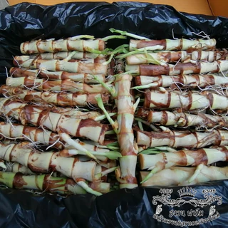 หญ้าหวานอิสราเอล 50 ท่อน แถมฟรี 20 ท่อน