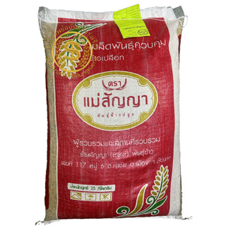 กข95 เมล็ดพันธุ์ข้าว กข95(ดกเจ้าพระยา) ข้าวเจ้าพื้นแข็ง อายุสั้น ผลผลิตสูง