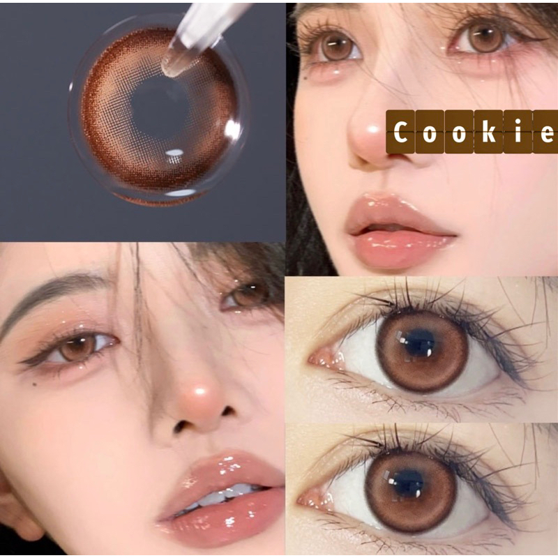 สีCookie รายปี รุ่น Sanctuary (วัสดุSilicone hydrogen ค่าอมน้ำ50%)