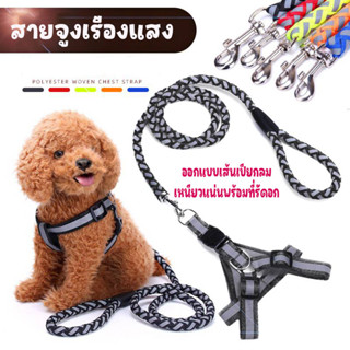 ⚡️ ลดล้างสต๊อก ⚡️Dogharness สายจูงสุนัขแบบรัดอก เส้นเดียวครบจบ หนาใหญ่ อึดทน พร้อมเรืองแสงในที่มืด