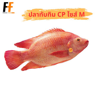 ปลาทับทิม CP (ไซส์M) | RUBY FISH, TRIMMED