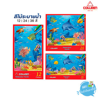 สีไม้ สีไม้ระบายน้ำคอลลีน Colleen 12 / 24 / 36 สี