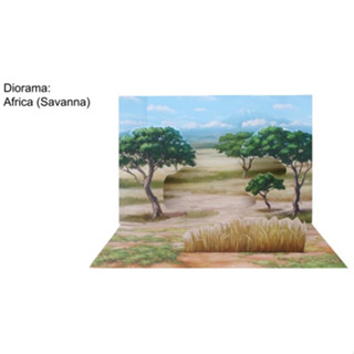 โมเดลกระดาษ 3D : ฉากหลัง 3D ทุ่งหญ้าสะวันนาแอฟริกา (Africa  Savanna) กระดาษโฟโต้เนื้อด้าน  กันละอองน้ำ ขนาด A4 220g.