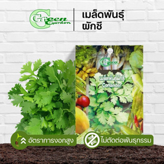 เมล็ดพันธ์ุผักชี (Coriander seed) Green Garden