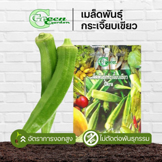 เมล็ดพันธุ์กระเจี๊ยบเขียว (Okra) Green Garden