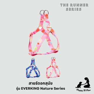 สายรัดอกสุนัขและแมว สายรัดอก ชุดรัดอกสุนัข สายรัดอกหมาใหญ่ Dog Harness EVERKING The Runner Series - Nature 3