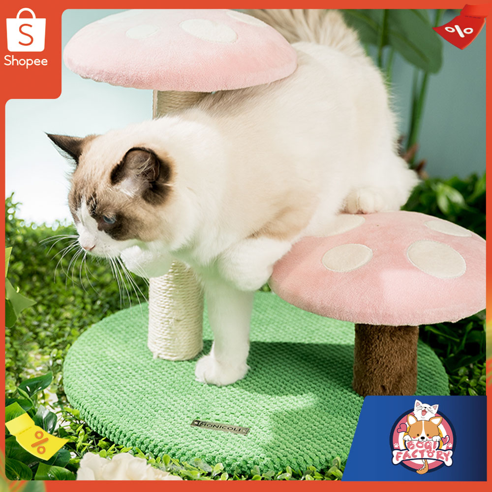 Boqi factory คอนโดแมว ที่ฝนเล็บแมว เสาฝนเล็บแมว ที่ลับเล็บแมว ที่ฝนเล็บแมว Small cat tree MP