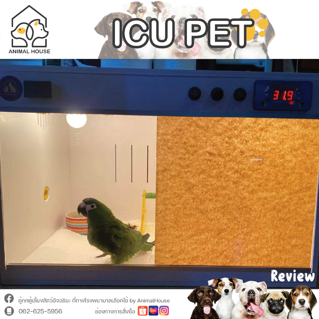 ตู้กกลูกนก ตู้ฟักไข่ ตู้สัตว์เลี้ยง Exotic ระบบควบคุมอัตโนมัติ ขนาด L thumbnail 8