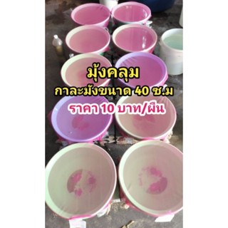 มุ้งคลุมกาละมังไรแดงขนาด 40 ซ.ม ราคา10บาท/ผืน ซักล้างพร้อมใช้