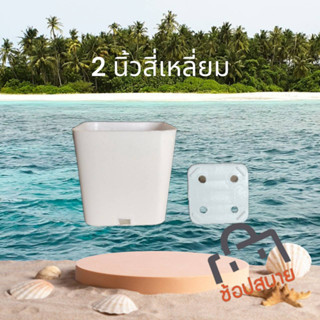 กระถางทรงสี่เหลี่ยม (แบบหนา) 2 นิ้ว แพ็ค 200 ใบ