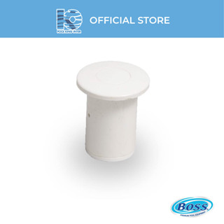 แอร์สวิชสำหรับสระสปา ขนาด 1 x 1 นิ้ว (Air Switch for Spa Pool size 1 x 1")