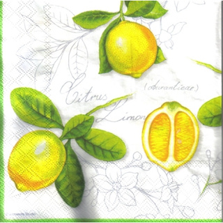 Pladao Napkin ภาพ วินเทจ ผลไม้ Lemon เลมอน มะนาว Citrus กระดาษ แนพกิ้น สำหรับงานศิลปะ เดคูพาจ decoupage ขนาด L 33x33