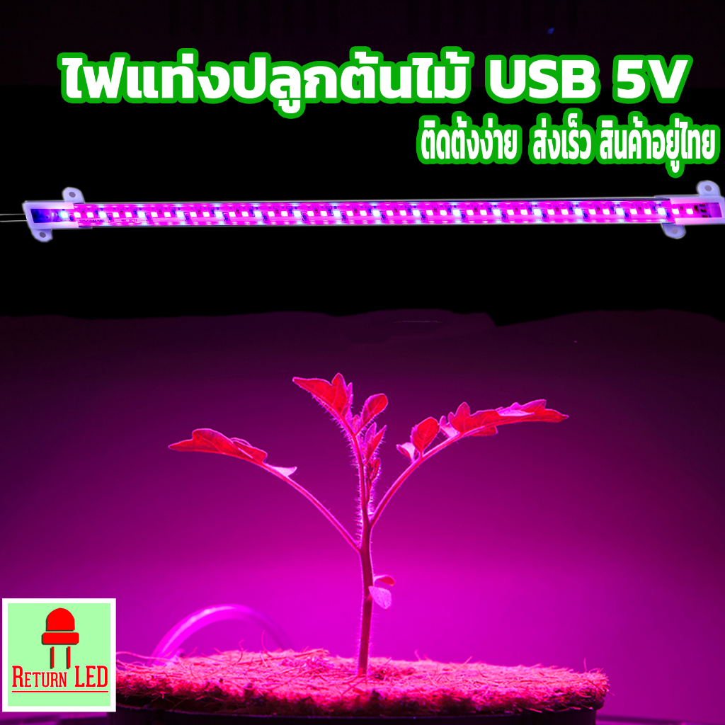 ไฟปลูกต้นไม้ ไฟปลูกแคคตัส ไฟปลูกฮาโวเทีย ไลทอป ไม้ประดับ USB 5V  ติดตั้งง่าย  ส่งเร็ว สินค้าอยู่ไทย