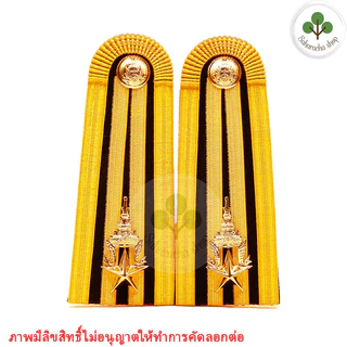อินทรธนู ทบ ยศ อินทนู มีทุกยศ (พร้อมเครื่องหมายตามรูปเลยครับ) บ่าชุดขาว ดิ้นอินเดีย