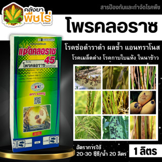 🌽 แซดคลอราซ45 (โพรคลอราซ45%EC) 1ลิตร กำจัดโรคช่อดำ/ราดำ เมล็ดด่าง ราสนิมข้าวโพด