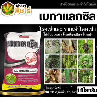 🌽 เมทาแลกซิล (ตรากระรอกแดง) 1กิโลกรัม (เมทาแลกซิล25WP) ป้องกันเชื้อรา โรคเน่า โรคราน้ำค้าง