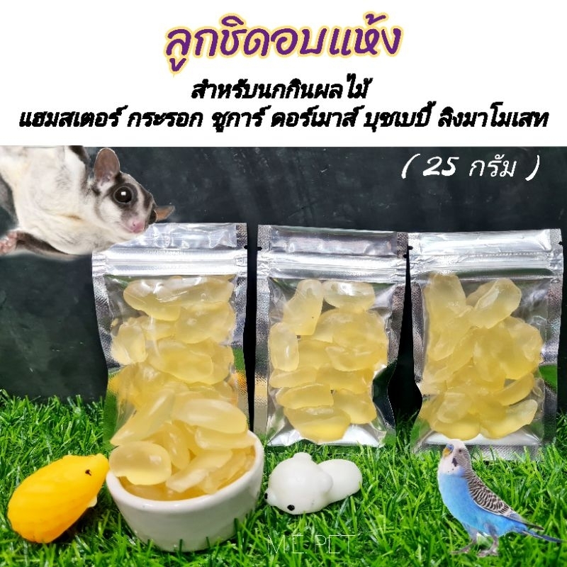 ลูกชิดอบแห้ง อาหารว่างสำหรับนก แฮมสเตอร์ กระรอก ชูการ์ ดอร์เมาส์ 25กรัม (ลูกชิด) – โปรปัง