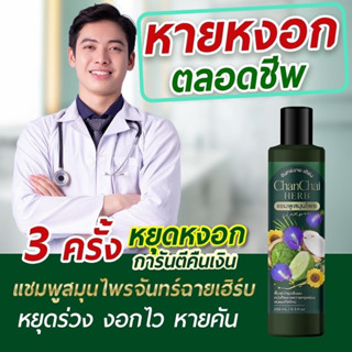 พร้อมส่ง!! แชมพูจันทร์ฉาย สูตรเข้มข้นเร่งฟื้นฟู