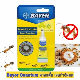 ✅[แท้/ส่งเร็ว]Bayer ไบเออร์ ควอนตั้ม เหยื่อกำจัดมด น้ำหนักสุทธิ12 กรัม