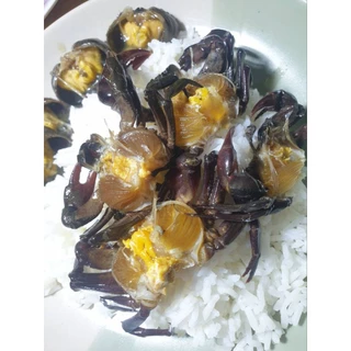 ปูนาดองน้ำปลากวนอร่อยมากออแกนิคพร้อมส่งมีรับประกันสินค้า