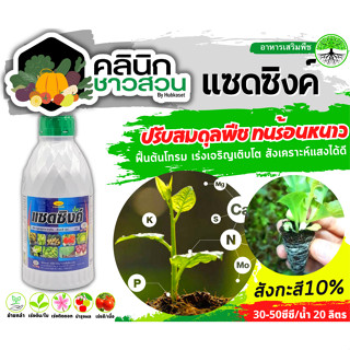 🥬 แซดซิงค์ (สังกะสี10%) บรรจุ 1ลิตร ปรับสมดุลพืช ทนร้อนทนหนาว ฟื้นฟูต้นโทรม