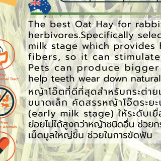 หญ้าโอ๊ด แรนดอล์ฟ Oat Hay 500 กรัม by Randolph
