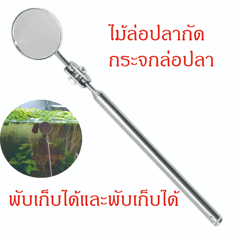 กระจกล่อปลา ไม้ล่อปลากัด ปลากัด กระจก พกได้ยึดได้ ราคาถูกๆ เพิ่มสีสันสวยงาม พร้อมส่งจากไทย