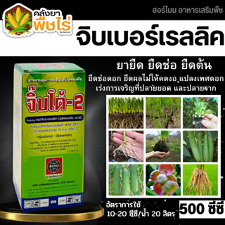 🌽 จิ๊บโต้-2 (กรดจิบเบอร์เรลลิคแอซิด) 500ซีซี จิ๊บยืดยอด ยืดช่อ ยืดผล