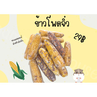 ข้าวโพดจิ๋ว ข้าวโพดแฮมเตอร์ ขนมสัตว์เลี้ยง ข้าวโพดลับฟัน