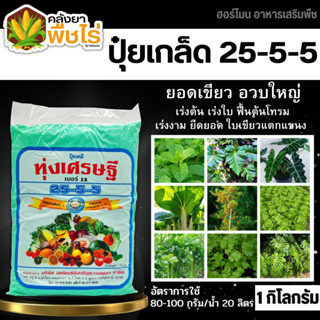 🌽 25-5-5 (ปุ๋ยเกล็ดทุ่งเศรษฐี) 1กิโลกรัม เร่งงาม ยืดยอด แตกแขนง