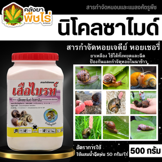 🌽 เสือไบร์ท (นิโคลซาไมด์-โอลามีน) 500กรัม กำจัดหอยเชอรี่ ในนาข้าว