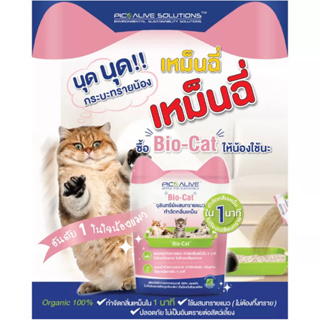 ส่งฟรี Bio-Cat ผสมทรายแมว กำจัดกลิ่นฉี่ ใน1นาทีกลิ่นเหม็นหายทันที ไม่ต้องเปลี่ยนทราย กำจัดเชื้อรา-แบคทีเรีย