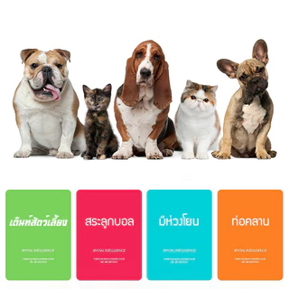 ของเล่นแมว บ้านแมว อุโมงค์เชื่อม อุโมงค์แมวซ่อนหา อุโมงค์แมว เต็นท์อุโมงค์ 3 in 1 เหมาะสำหรับแมวหรือสัตว์ใหญ่
