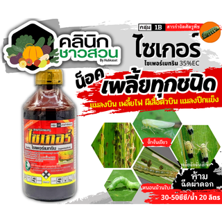 🥬 ไซเกอร์ (ไซเปอร์เมทริน) บรรจุ 1ลิตร ป้องกันและกำจัดแมลงบินและแมลงคลานเช่น ยุง แมลงวัน แมลงสาบ มด