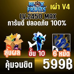 ไก่ตัน เผ่าเงือก V4 ขั้น 10 พร้อมโมจิตื่น! BLOX FRUITS LEVEL 2450 (MAXED) ปลอดภัย ใช้มือฟาร์ม ไม่มีการใช้แฮ็ค แมพ Roblox