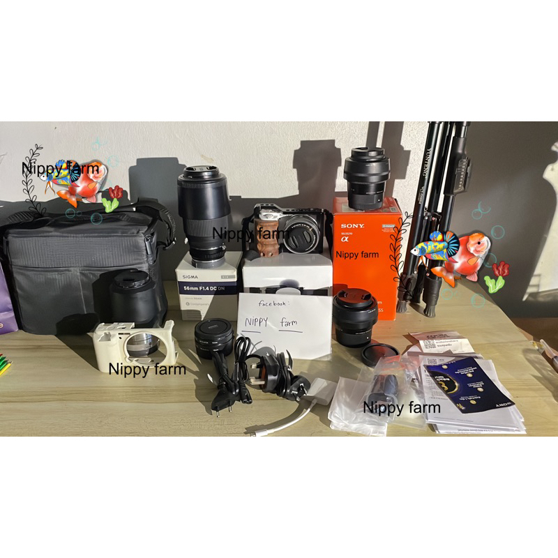 กล้อง มือสอง sony zv E-10,sigma 56mm f1.4,sigma 30mm f1.4