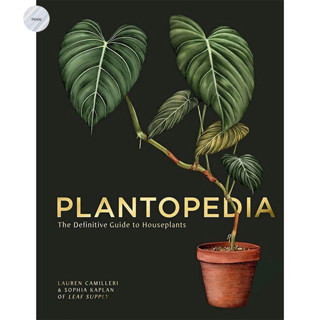 Plantopedia : The Definitive Guide to Houseplants