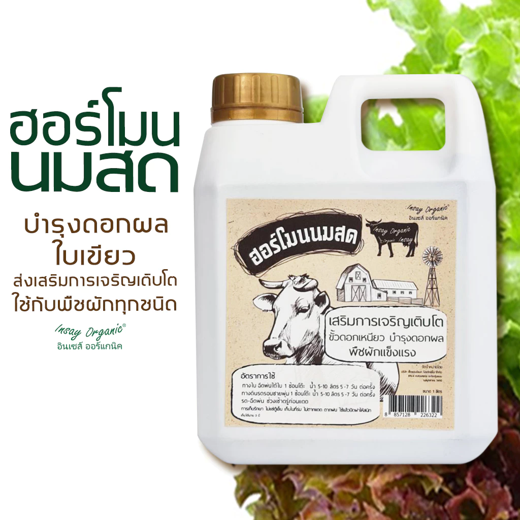 ฮอร์โมนนมสด INSAY ใช้บำรุงดอกผล ฟื้นฟูดิน ส่งเสริมการเจริญเติบโตพืชผักทุกชนิด 1 ลิตร