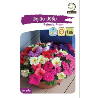 เมล็ดพันธุ์ ดอกไม้ พิทูเนีย ปริซึ่ม (Petunia Prism)