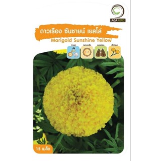 เมล็ดพันธุ์ ดอกไม้ ดาวเรือง ซันชายน์ เยลโล่ (Marigold Sunshine Yellow)