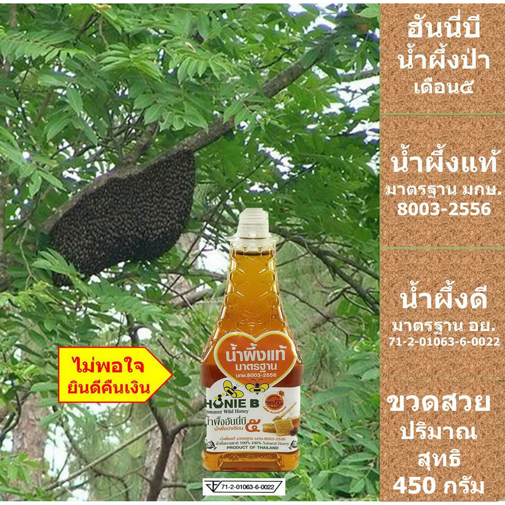 ฮันนี่บี น้ำผึ้งป่า น้ำผึ้งเดือน๕ 450 กรัม น้ำผึ้งแท้ มาตรฐาน มกษ. 8003-2556 อาหารเสริมของขวัญของฝาก