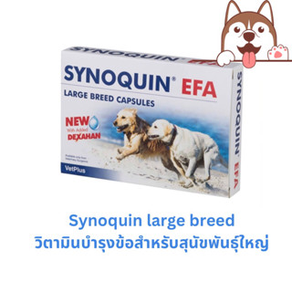 Synoquin large breed EFA วิตามินบำรุงข้อสำหรับสุนัขพันธุ์ใหญ่