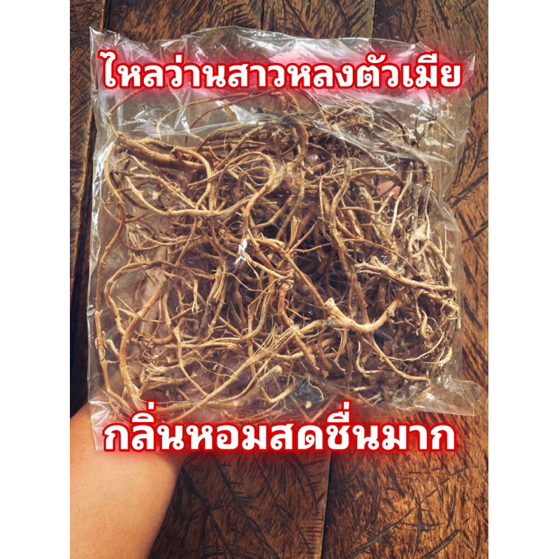 ไหลว่านสาวหลงตัวเมียตากแห้ง สุดยอดมวลสารว่านชั้นหนึ่งทางสายเสน่ห์เมตตามหานิยม